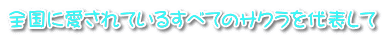 ������炭�I�����疞�V�g�`�m�j�n�Z�b�g�I