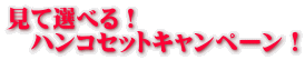 ���đI�ׂ�F�����n���R�E����L�����y�[���I 